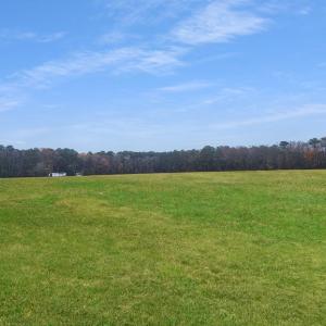 Photo #17 of 26355 MOUNT NEBO RD, ONANCOCK, VA 106.4 acres