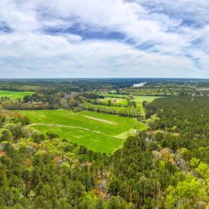 Photo #4 of 26355 MOUNT NEBO RD, ONANCOCK, VA 106.4 acres