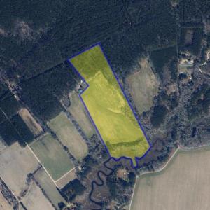 Photo #41 of 26355 MOUNT NEBO RD, ONANCOCK, VA 106.4 acres