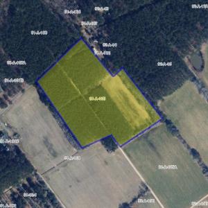 Photo #43 of 26355 MOUNT NEBO RD, ONANCOCK, VA 106.4 acres