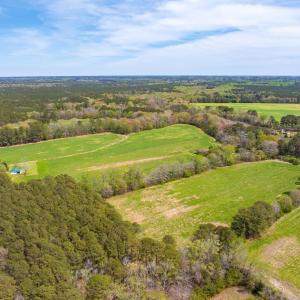 Photo #5 of 26355 MOUNT NEBO RD, ONANCOCK, VA 106.4 acres