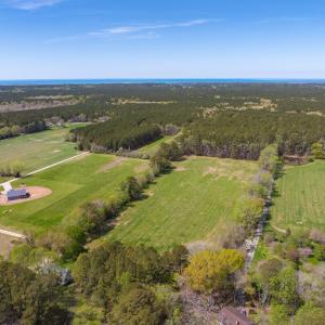 Photo #7 of 26355 MOUNT NEBO RD, ONANCOCK, VA 106.4 acres
