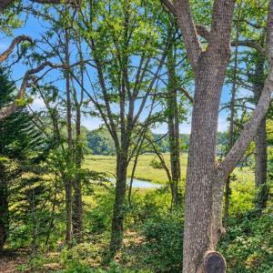 Photo #8 of 26355 MOUNT NEBO RD, ONANCOCK, VA 106.4 acres