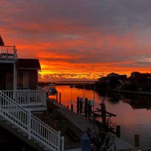 Photo #22 of 38002 SAILORS, GREENBACKVILLE, VA 9,000.0 acres