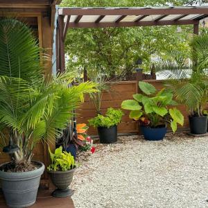 Photo #70 of 38002 SAILORS, GREENBACKVILLE, VA 9,000.0 acres