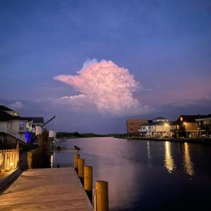 Photo #75 of 38002 SAILORS, GREENBACKVILLE, VA 9,000.0 acres