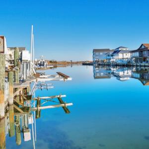 Photo #60 of 38002 SAILORS, GREENBACKVILLE, VA 9,000.0 acres