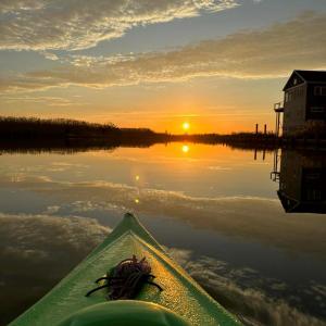 Photo #76 of 38002 SAILORS, GREENBACKVILLE, VA 9,000.0 acres