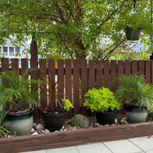 Photo #69 of 38002 SAILORS, GREENBACKVILLE, VA 9,000.0 acres