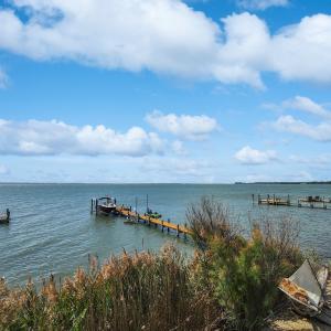 Photo #3 of 37424 BAYSIDE DR, GREENBACKVILLE, VA 8,280.0 acres