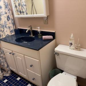 Photo #19 of 7216 OAK RIDGE PL, CHINCOTEAGUE, VA