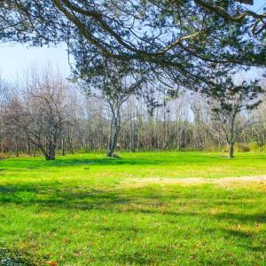 Photo #50 of 30172 SAXIS RD, TEMPERANCEVILLE, VA 1.3 acres