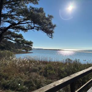 Photo #40 of 11576 HERON DR, MACHIPONGO, VA 0.7 acres