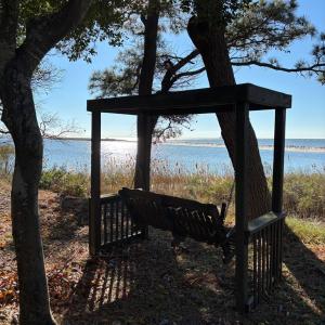 Photo #46 of 11576 HERON DR, MACHIPONGO, VA 0.7 acres