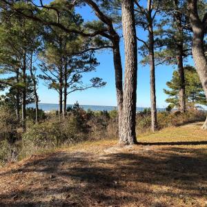 Photo #45 of 11576 HERON DR, MACHIPONGO, VA 0.7 acres