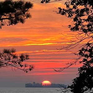 Photo #47 of 3202 BLACK DRUM LN, MACHIPONGO, VA 0.8 acres