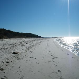 Photo #30 of 3202 BLACK DRUM LN, MACHIPONGO, VA 0.8 acres