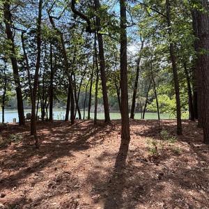 Photo #35 of 3202 BLACK DRUM LN, MACHIPONGO, VA 0.8 acres