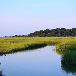 Photo #59 of 3202 BLACK DRUM LN, MACHIPONGO, VA 0.8 acres