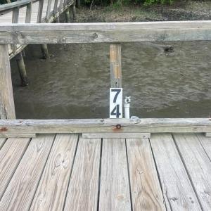 Photo #2 of 22373 PLUM TREE RD, CAPE CHARLES, VA 0.5 acres