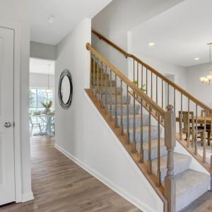 Photo #5 of 108 MAIN SAIL CT, GREENBACKVILLE, VA 70.0 acres