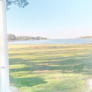 Photo #17 of 17541 PLANTATION RD, ONANCOCK, VA 45.1 acres