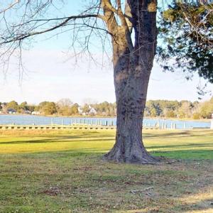 Photo #59 of 17541 PLANTATION RD, ONANCOCK, VA 45.1 acres