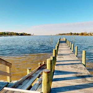 Photo #64 of 17541 PLANTATION RD, ONANCOCK, VA 45.1 acres