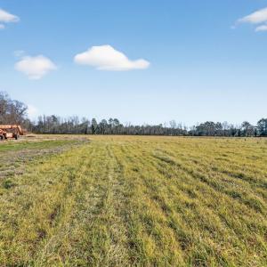 Photo #46 of 8005 HICKMAN FARM RD, WALLOPS ISLAND, VA 36.0 acres