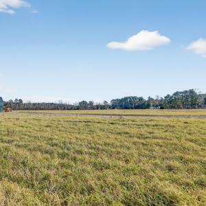 Photo #47 of 8005 HICKMAN FARM RD, WALLOPS ISLAND, VA 36.0 acres