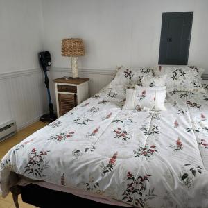 Photo #10 of 6420 OLIE LANE, CHINCOTEAGUE, VA 0.2 acres