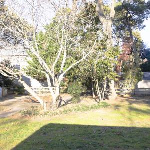 Photo #66 of 4120 SUNNYWOOD DR, CHINCOTEAGUE, VA 0.3 acres