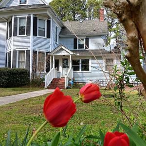 Photo #2 of 34079 SEASIDE RD, PAINTER, VA 2.5 acres