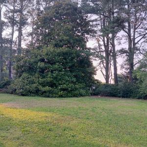 Photo #65 of 34079 SEASIDE RD, PAINTER, VA 2.5 acres