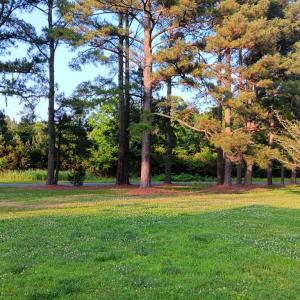 Photo #66 of 34079 SEASIDE RD, PAINTER, VA 2.5 acres