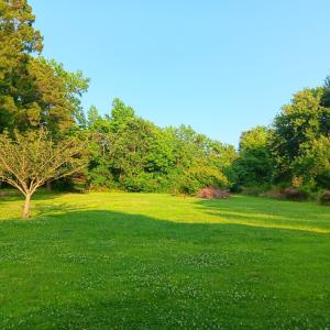 Photo #67 of 34079 SEASIDE RD, PAINTER, VA 2.5 acres