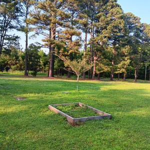 Photo #69 of 34079 SEASIDE RD, PAINTER, VA 2.5 acres