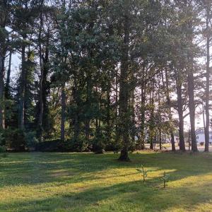 Photo #73 of 34079 SEASIDE RD, PAINTER, VA 2.5 acres