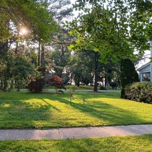 Photo #74 of 34079 SEASIDE RD, PAINTER, VA 2.5 acres