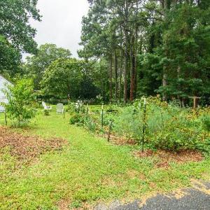 Photo #59 of 23613 FRONT ST, ACCOMAC, VA 0.5 acres
