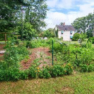 Photo #60 of 23613 FRONT ST, ACCOMAC, VA 0.5 acres