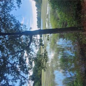 Photo #14 of 7472 SEASIDE RD, EASTVILLE, VA 25.1 acres