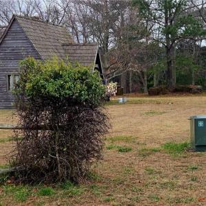 Photo #18 of 7472 SEASIDE RD, EASTVILLE, VA 25.1 acres