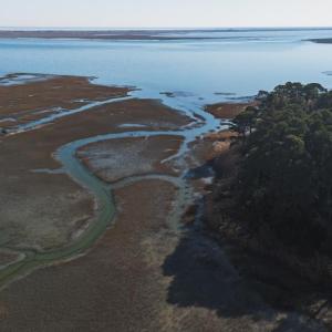 Photo #22 of 5445 MILFORD RD, CAPE CHARLES, VA 5.4 acres