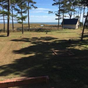 Photo #98 of 5445 MILFORD RD, CAPE CHARLES, VA 5.4 acres