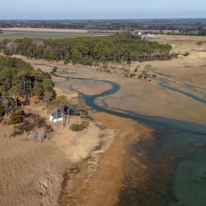 Photo #26 of 5445 MILFORD RD, CAPE CHARLES, VA 5.4 acres