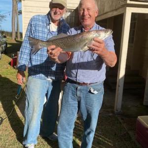 Photo #36 of 5445 MILFORD RD, CAPE CHARLES, VA 5.4 acres