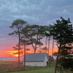 Photo #4 of 5445 MILFORD RD, CAPE CHARLES, VA 5.4 acres