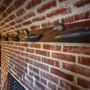 Photo #51 of 5445 MILFORD RD, CAPE CHARLES, VA 5.4 acres