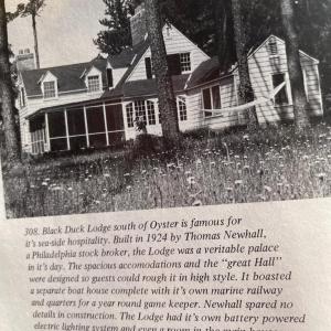 Photo #34 of 5445 MILFORD RD, CAPE CHARLES, VA 5.4 acres